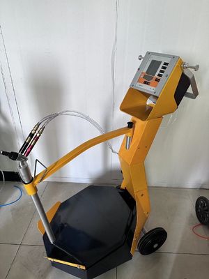 Spruzzatori di vernice in polvere elettrostatica vibrante competitivi per la linea di produzione di rivestimenti